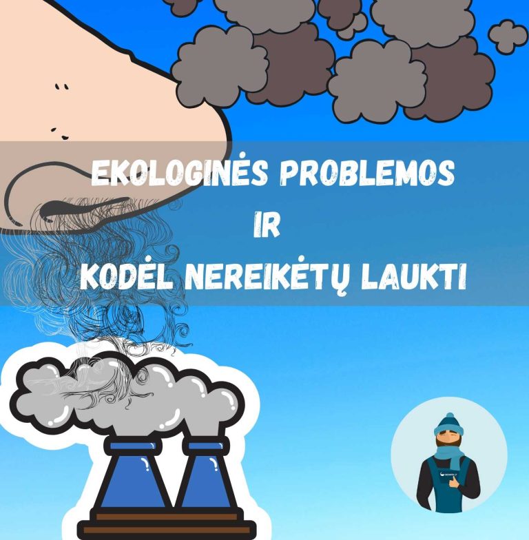 Ekologinės problemos ir kodėl nereikėtų laukti